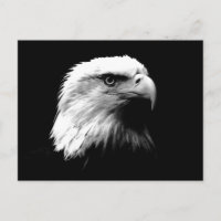 Águila blanca y negra
