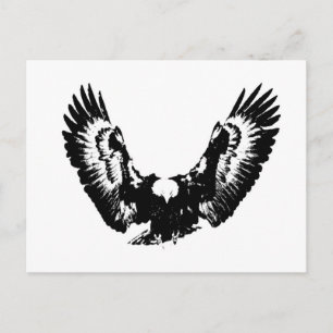 Postal Águila blanca y negra