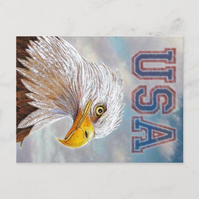 Postal Águila calva americana (Anverso)