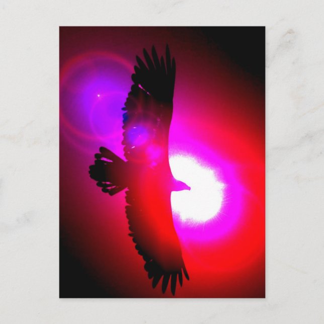 Postal Águila calva americana (Anverso)