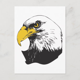 Postal Águila calva americana