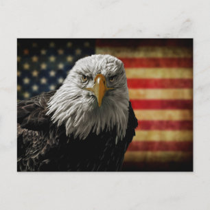 Postal Águila calva americana sobre bandera ondulada