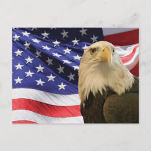 Postal Águila calva americana y bandera