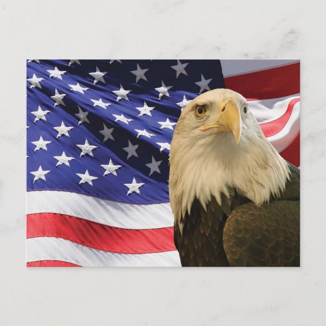 Postal Águila calva americana y bandera (Anverso)