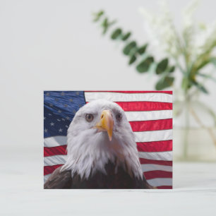 Postal Águila calva americana y bandera americana
