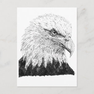 Postal Águila calva Arte patriótico USA negro blanco en p
