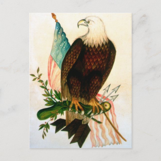 Postal Águila calva con bandera (Anverso)