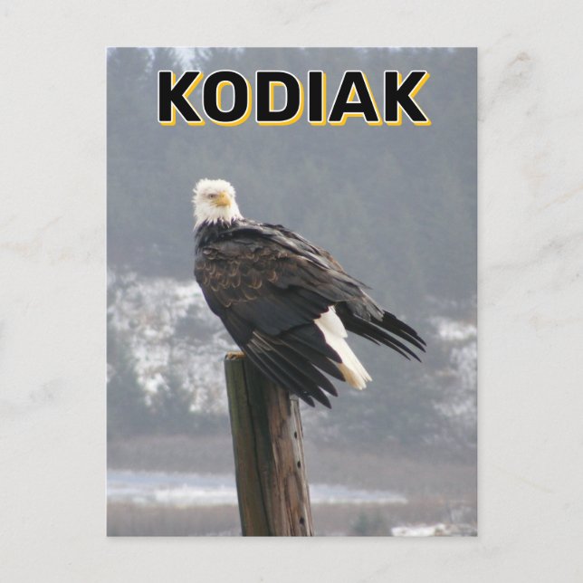 Postal Águila Calva En Kodiak, Alaska (Anverso)