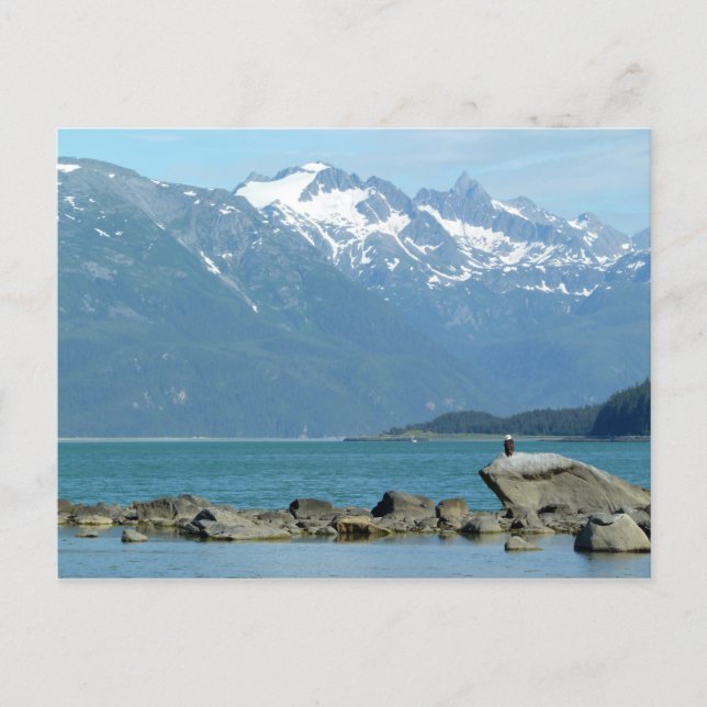Postal Águila calva en Skagway Alaska (Anverso)