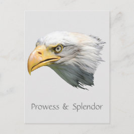 Postal Águila calva Prowess & Splendor personalizable