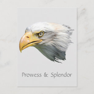 Postal Águila calva Prowess & Splendor personalizable
