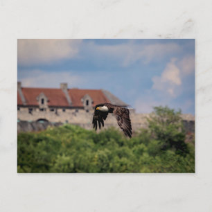 Postal Águila calva que pasa por Fort Ticonderoga