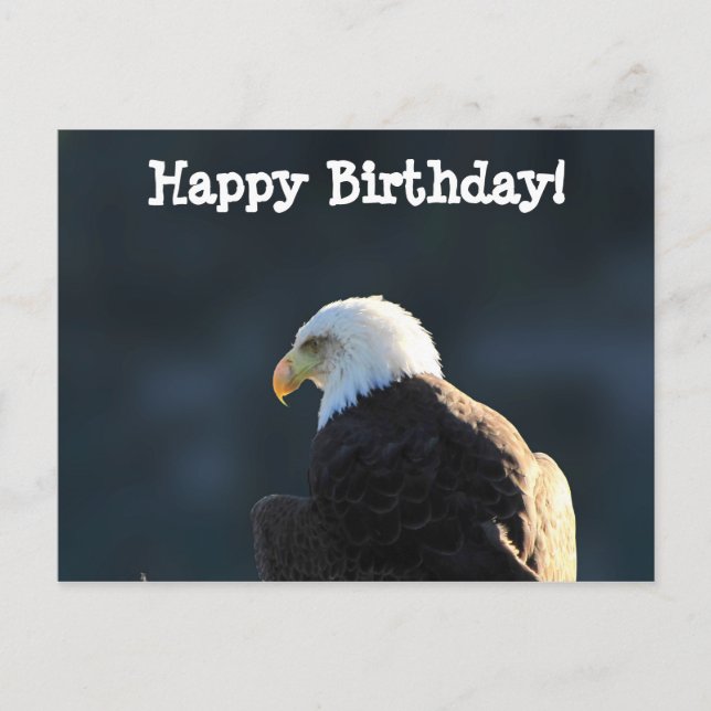 Postal Águila calva solitaria; cumpleaños feliz (Anverso)