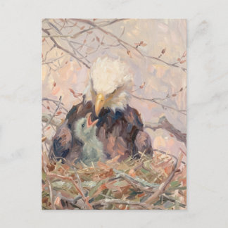 Postal Águila calva y aguilucho Arte de la naturaleza Men