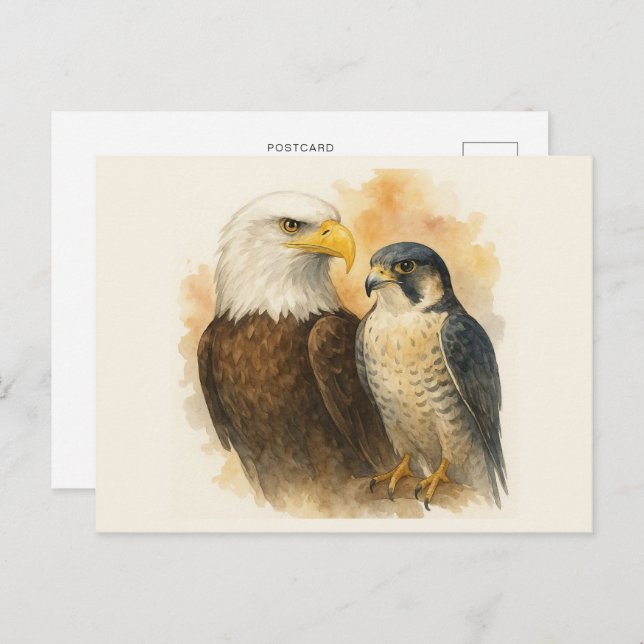 Postal Águila calva y arte de vida silvestre del Halcón P (Anverso / Reverso)