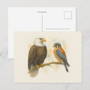 Postal Águila calva y raptor de cernícalo cestrel america