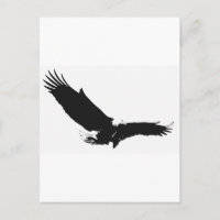 Águila de aterrizaje negra y blanca