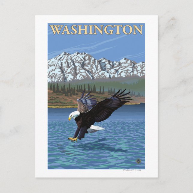 Postal Águila de buceo de Washington (Anverso)