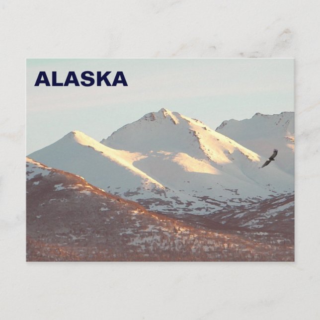 Postal Águila de invierno (Anverso)