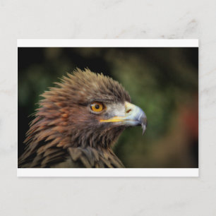 Postal águila dorada