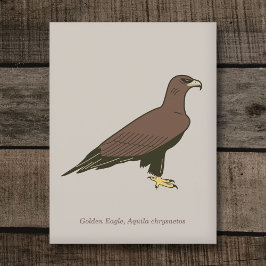 Postal Águila dorada