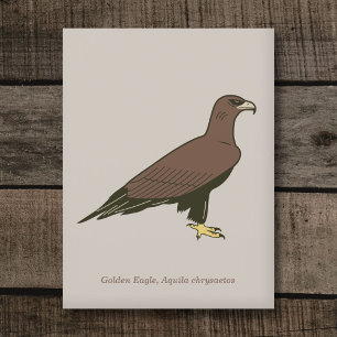Postal Águila dorada