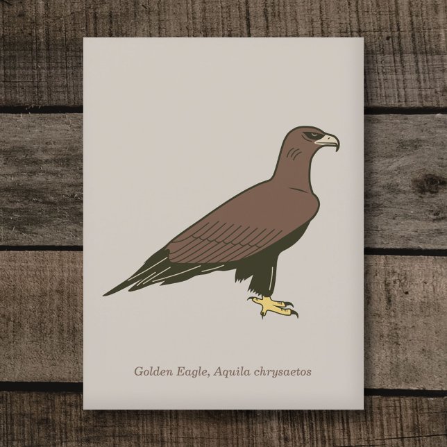 Postal Águila dorada (Golden Eagle Postcard)