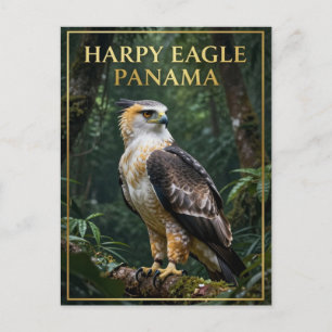 Postal 🦅 Águila Harpía Ave del Bosque Lluvioso de Panamá