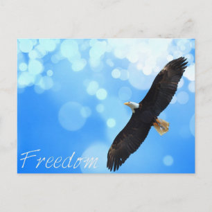 Postal Águila libre volando en el cielo