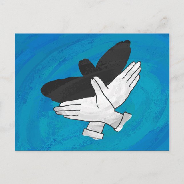 Postal Águila Sombra Sobre El Azul (Anverso)