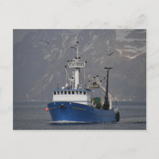 Postal Águilas calvas dan la bienvenida a la casa de los