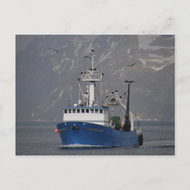 Postal Águilas calvas dan la bienvenida a la casa de los  (Anverso)