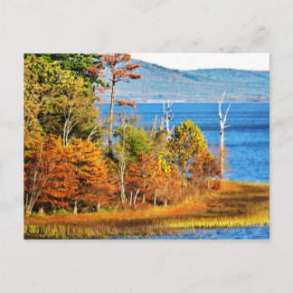 Postal Águilas en el lago Sardis