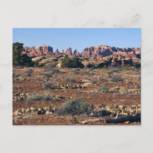 Postal Aguja desde el sendero Pothole Point en Canyonland (Anverso)