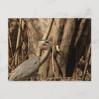 POSTAL AGUJERO DE COMIDA AZUL HERON