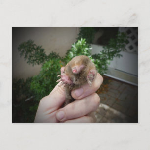 Postal Agujero vivo en la mano sonriendo.jpg