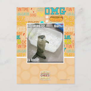 Postal ¿Ahí dentro? ¡Está helado!