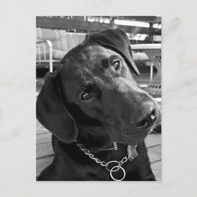 Postal Ahora que tengo tu atención... (Anverso)