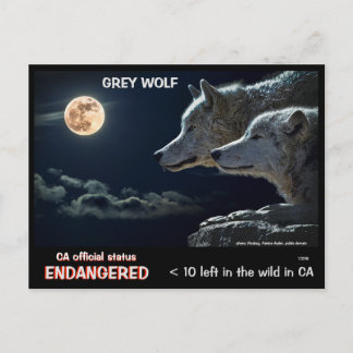 POSTAL ¡AHORRA LAS MUEBLES! -
