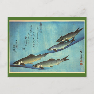 Postal Ai (trucha) - Impresión de pescado japonés a color