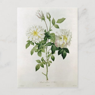 Postal Aime Vibere grabado por Eustache Hyacinthe