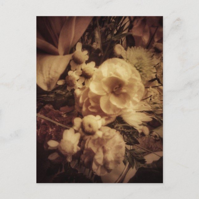 Postal Aire Elegante (Anverso)