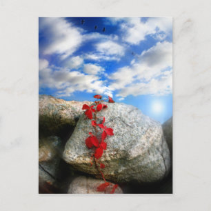 Postal Aire fresco,postal