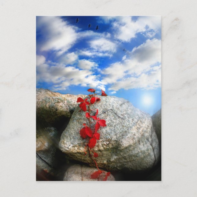 Postal Aire fresco,postal (Anverso)