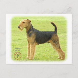 Postal Airedale Terrier 8T092D-16