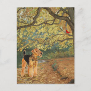 Postal Airedale Terrier Observando Aves