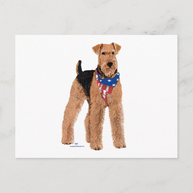 Postal Airedale Terrier Patriótico (Anverso)