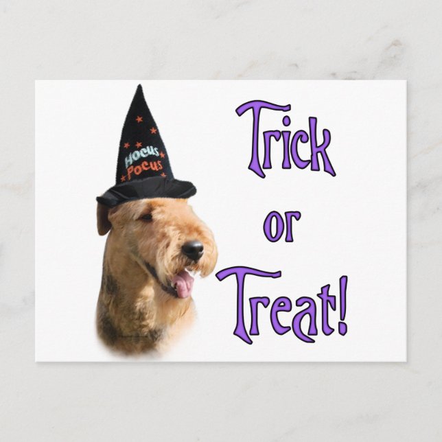 Postal Airedale Terrier Trick (Anverso)
