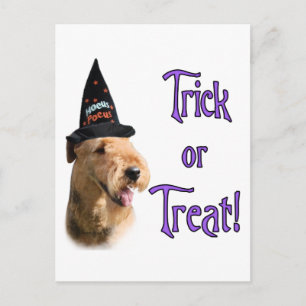 Postal Airedale Terrier Trick
