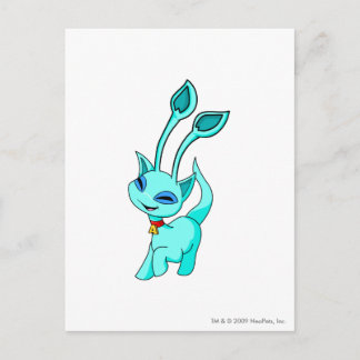 Postal Aisha Blue